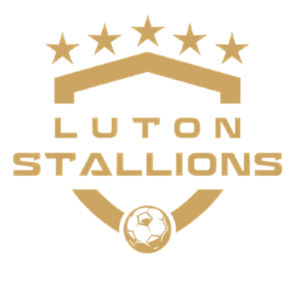 Luton Stallions FC